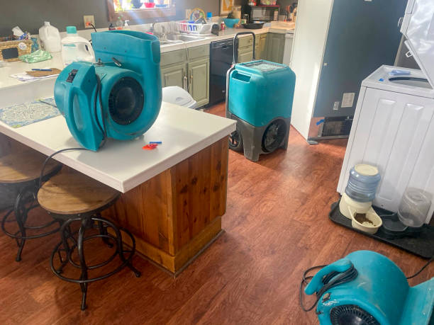 Best Water damage mitigation services  in Arlington, NY
