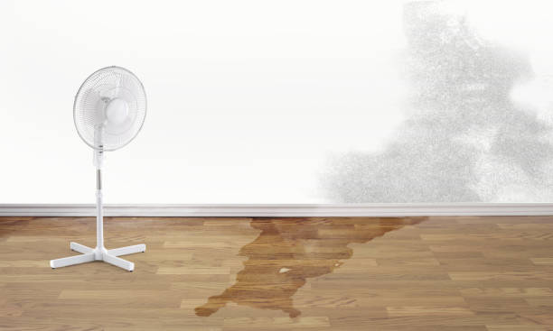 Best Flood damage cleanup  in Arlington, NY