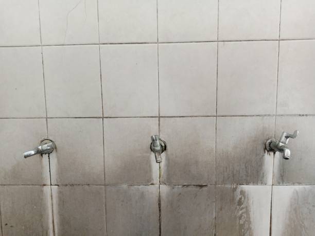 Best Sewage cleanup and water damage restoration  in Arlington, NY