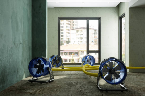Best Professional water damage repair  in Arlington, NY